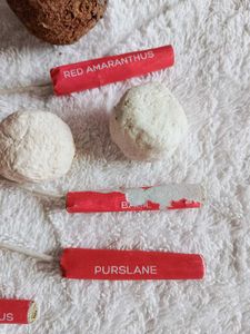 Seed Bombs for Planting