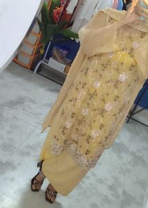 Barik work and light weight suit sort palazo duppa