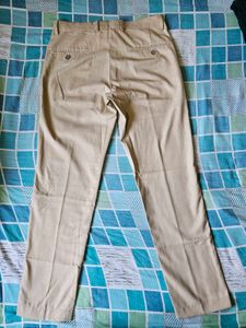 Turtle Beige Formal Pant