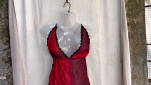 69. Sheer Red Halter Neck Lingerie Top