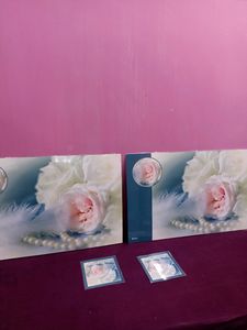 New but without tag( Reversible ) Table Mat