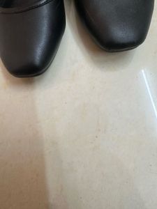 Steve Madden Bellies