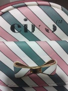 Small And Trendy Sling Bag