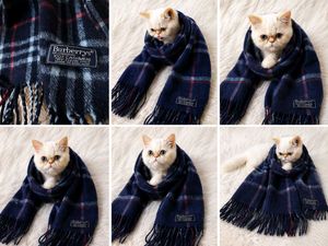 Burberry scarf