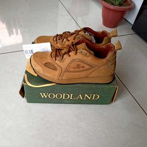 Woodland Brand Casual Boot Fixed Price