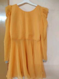 beautiful Indo Western lehenga