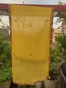 Vibrant Yellow Embellished Dupatta