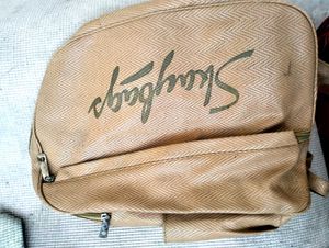 Stylish Shaybags Backpack