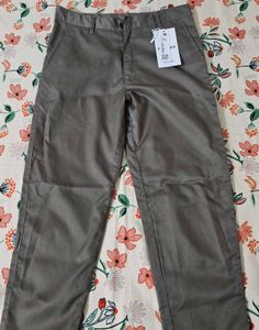 Grey Casual Pants