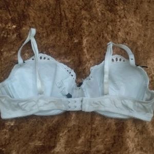 Imported Padded Pushup Brassiere