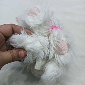 Cute Fluffy🤎 White Kitten Plush Toy