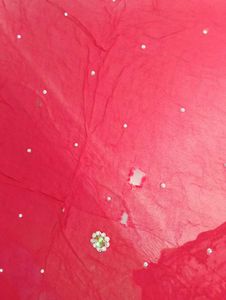 Red Embroidered saree with blouse Set