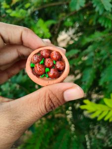 Miniature Food Display Set