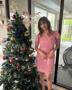 Red Gingham Puff Sleeve Dress