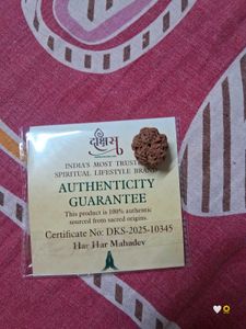 Blessing Line Rudraksha
