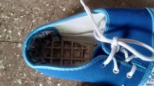 Combo New Shoes