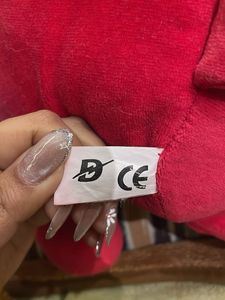 Cute Red Plush Teddy Bear
