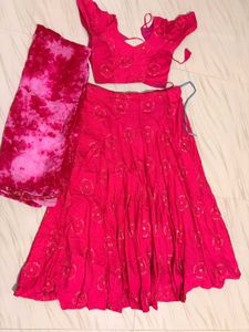 rani Pink Embroidered with sequins Lehenga Choli S