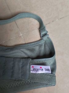 Sage Green Everyday Bra, 1 Padded Bra