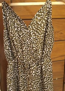 dress w free delivery
