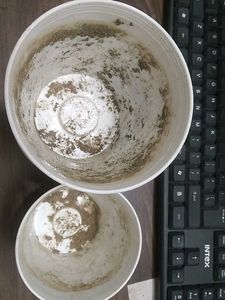 12 White Plastic Plant Pots