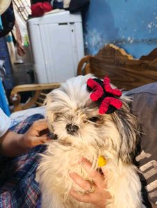 Cute Crochet Hair Clip