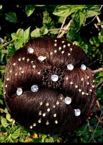 Sparkling Hair Bun Maker
