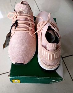 PUMA TSUGI NETFIT EVOKNIT Fixed Price