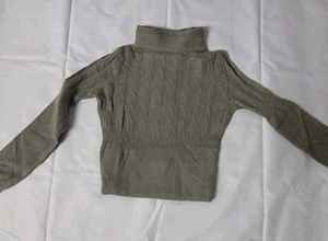 Turtle Neck Woolen Top