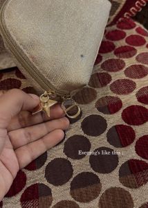 🇫🇷Christian Dior imported Pouch
