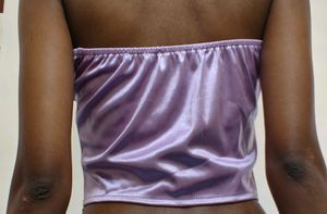 Butterfly Corset Top