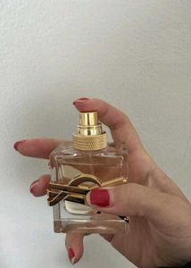 10 ml decant !!Yves Saint Laurent L