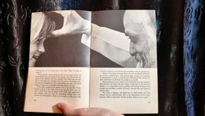 Blessed Are The Ignorant Hardcover