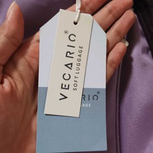 Stylish Purple Vecario Backpack