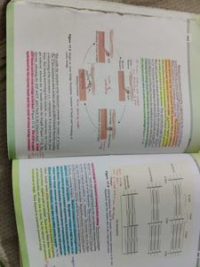 Biology Textbook for Class XI