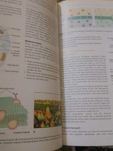 Ross &amp; Wilson Anatomy and Physiology Textbook