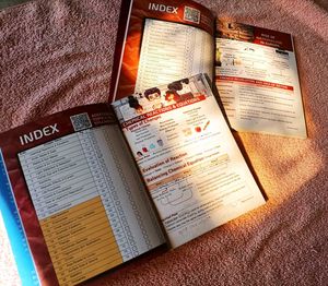 Class 10 1'o Clock Revision Books by Kriti Sharma