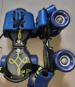 Blue Roller Skates