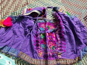 Vibrant Embroidered Crop Blouse