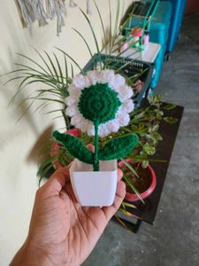 Crochet daisy flower pot 🌸