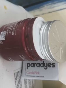 Paradyse Carola Pink Hair Color