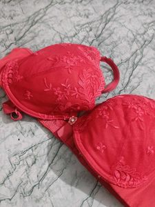 Beautiful Red Embroidered Bra phusup