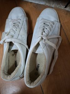 Casual Shoes 👞