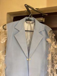 Unique Sheer Sleeve Blazer