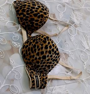 Dolce &amp; Gabbana signature leopard print bra