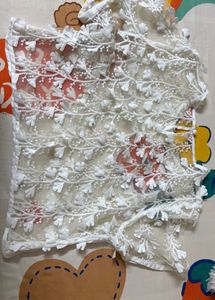 Sheer White 3D Embroidered Floral Top