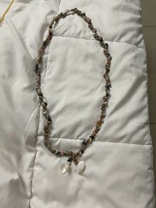 Seashell 🐚 Necklace