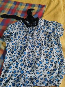 Ginger Blue Leopard Print Sheer Top