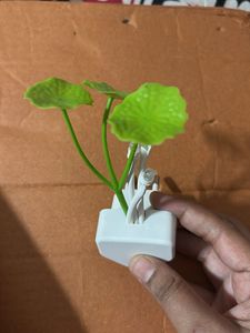 Novelty Plug-in Night Light
