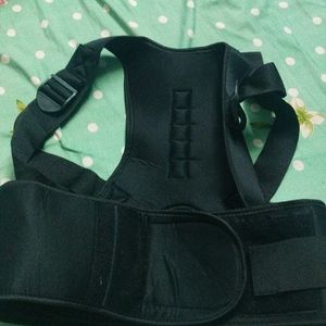 Back Support Belt